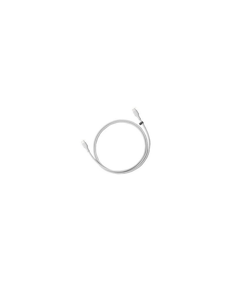 Cablu Date si Incarcare, Type C to Type C, Google 73H00668-00M, Alb